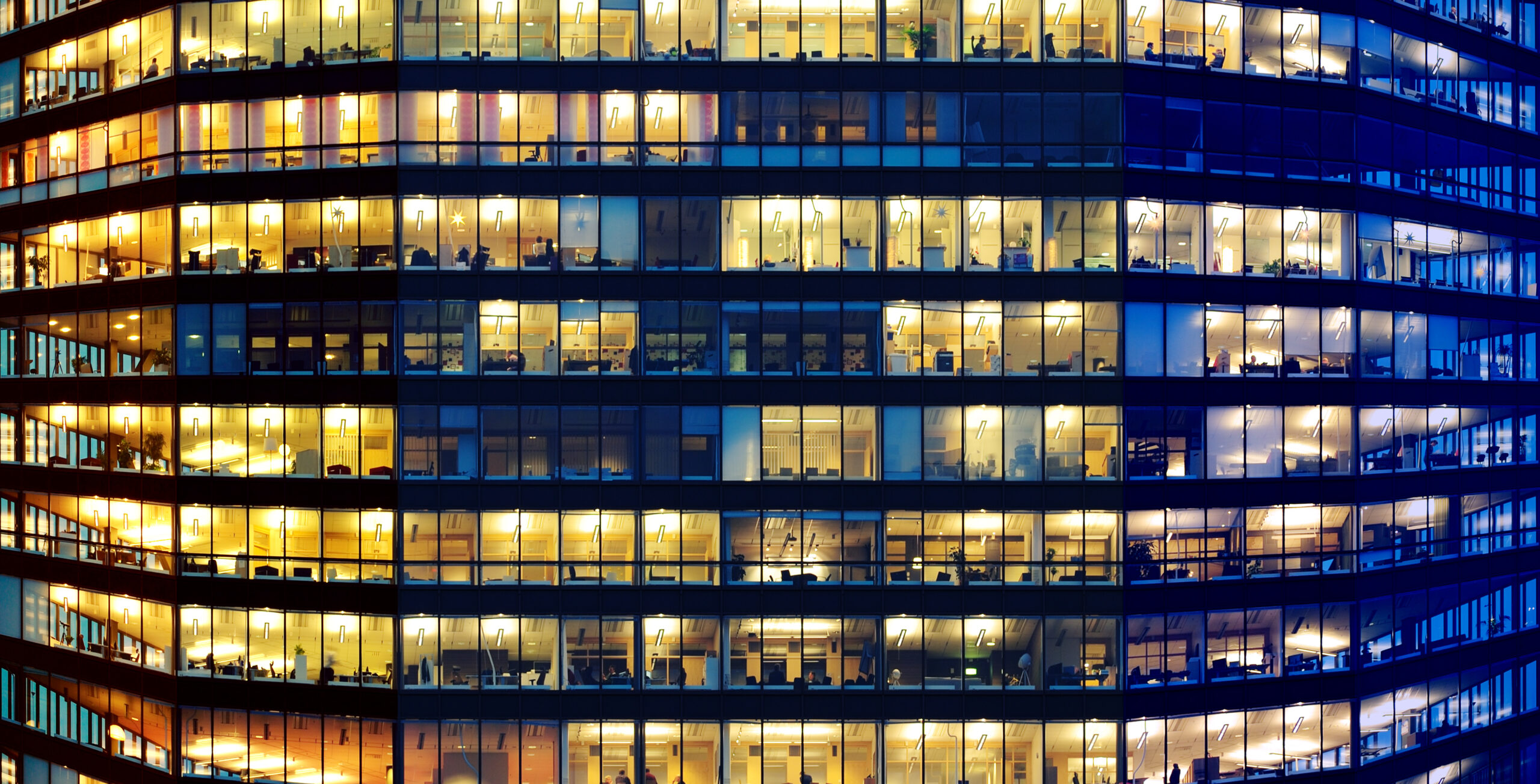 Workers working late. Blue hour. Curved building